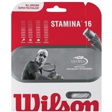 Wilson Stamina 16 Tennis String Set