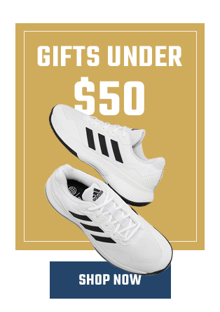 Gifts Under 50