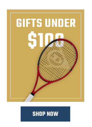 Gifts Under 100